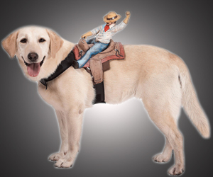 Dog Rider Pet Costumes